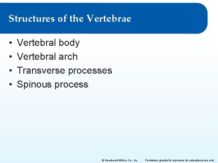 Structures of the Vertebrae • • Vertebral body Vertebral arch Transverse processes Spinous process Structures of the Vertebrae • • Vertebral body Vertebral arch Transverse processes Spinous process