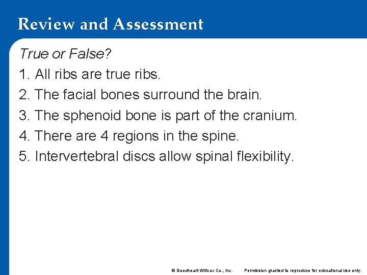 Review and Assessment True or False? 1. All ribs are true ribs. 2. The Review and Assessment True or False? 1. All ribs are true ribs. 2. The