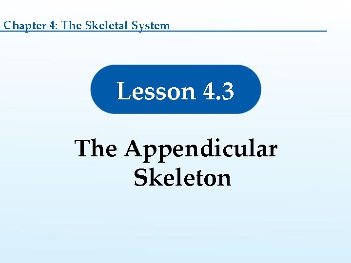 Chapter 4: The Skeletal System Lesson 4. 3 The Appendicular Skeleton  Chapter 4: The Skeletal System Lesson 4. 3 The Appendicular Skeleton
