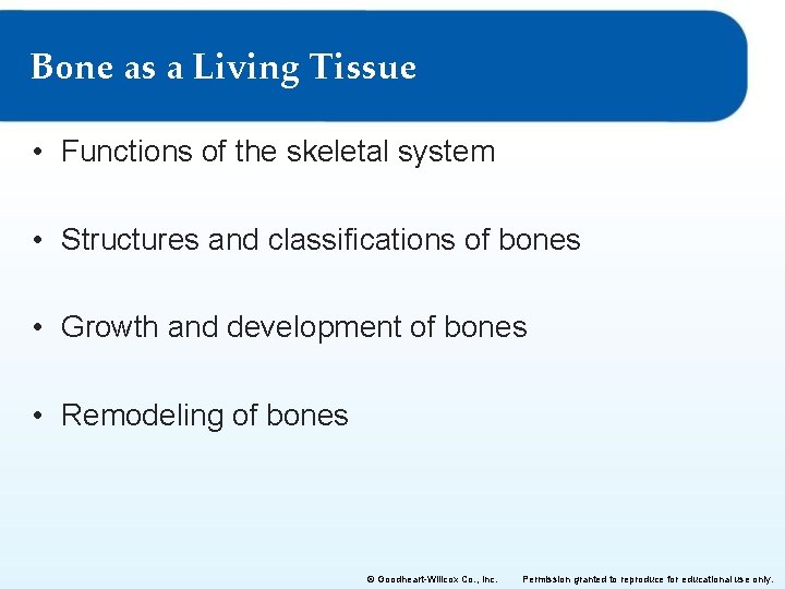 Bone as a Living Tissue • Functions of the skeletal system • Structures and Bone as a Living Tissue • Functions of the skeletal system • Structures and