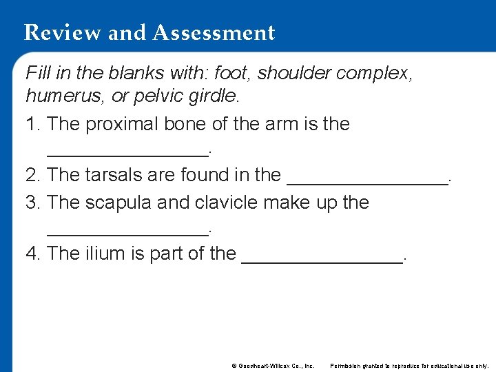 Review and Assessment Fill in the blanks with: foot, shoulder complex, humerus, or pelvic Review and Assessment Fill in the blanks with: foot, shoulder complex, humerus, or pelvic