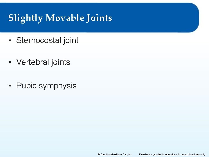 Slightly Movable Joints • Sternocostal joint • Vertebral joints • Pubic symphysis © Goodheart-Willcox Slightly Movable Joints • Sternocostal joint • Vertebral joints • Pubic symphysis © Goodheart-Willcox