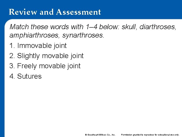 Review and Assessment Match these words with 1– 4 below: skull, diarthroses, amphiarthroses, synarthroses. Review and Assessment Match these words with 1– 4 below: skull, diarthroses, amphiarthroses, synarthroses.