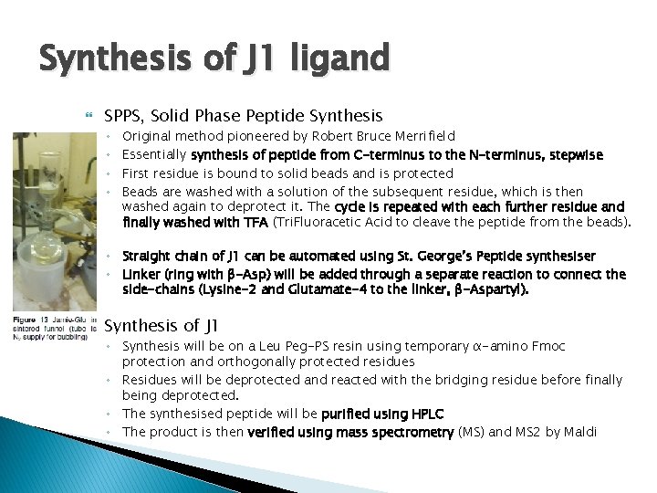 Synthesis of J 1 ligand SPPS, Solid Phase Peptide Synthesis ◦ ◦ Original method