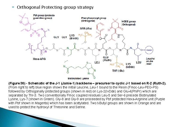  Orthogonal Protecting group strategy (Figure 30) - Schematic of the J-1 (Jamie-1) backbone