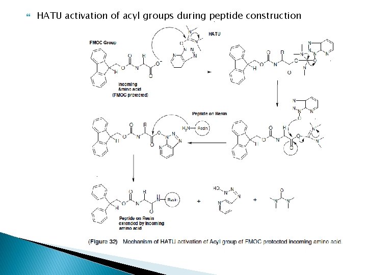  HATU activation of acyl groups during peptide construction 