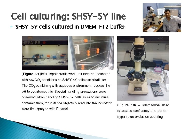 Cell culturing: SHSY-5 Y line SHSY-5 Y cells cultured in DMEM-F 12 buffer 