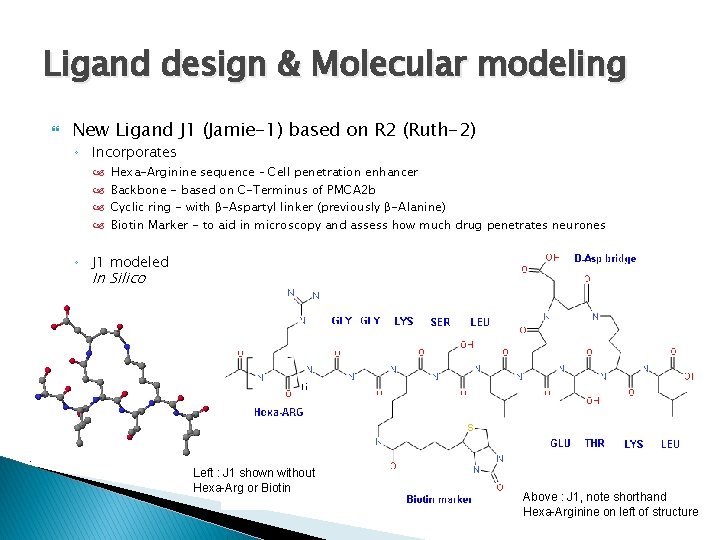 Ligand design & Molecular modeling New Ligand J 1 (Jamie-1) based on R 2