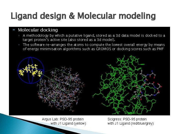 Ligand design & Molecular modeling Molecular docking ◦ A methodology by which a putative