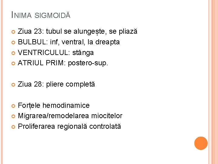 INIMA SIGMOIDĂ Ziua 23: tubul se alungește, se pliază BULBUL: inf, ventral, la dreapta