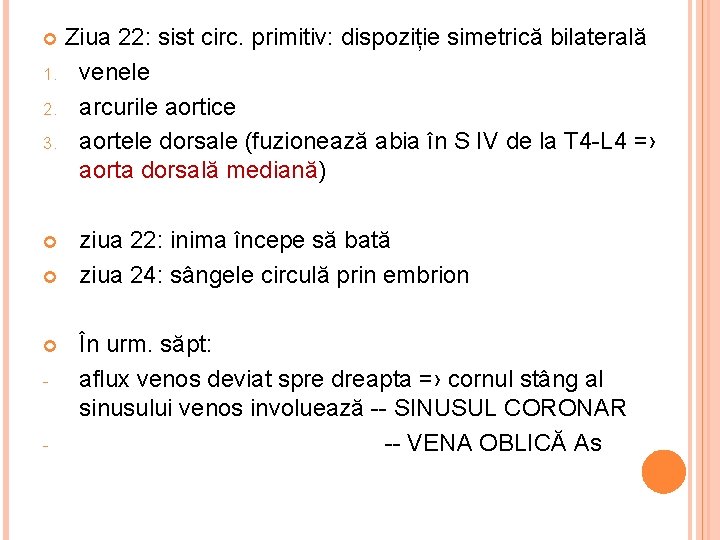 Ziua 22: sist circ. primitiv: dispoziție simetrică bilaterală 1. venele 2. arcurile aortice 3.