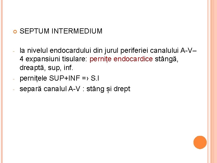  SEPTUM INTERMEDIUM - la nivelul endocardului din jurul periferiei canalului A-V– 4 expansiuni