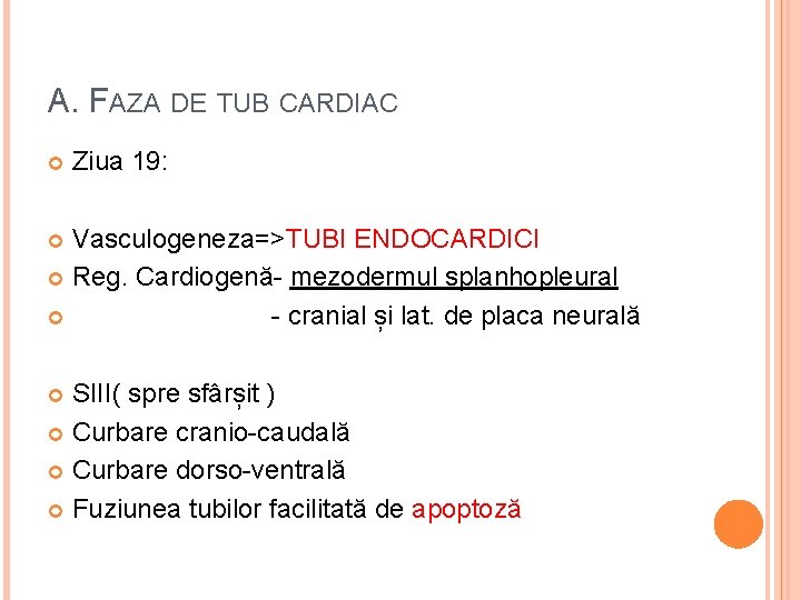 A. FAZA DE TUB CARDIAC Ziua 19: Vasculogeneza=>TUBI ENDOCARDICI Reg. Cardiogenă- mezodermul splanhopleural -