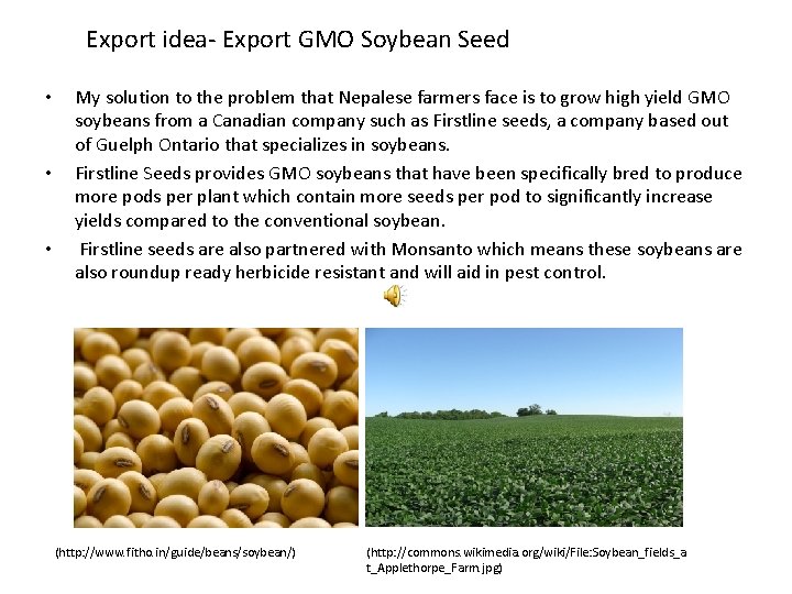 Export idea- Export GMO Soybean Seed • • • My solution to the problem