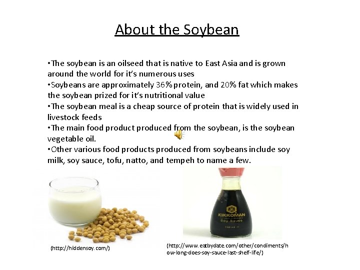 About the Soybean • The soybean is an oilseed that is native to East