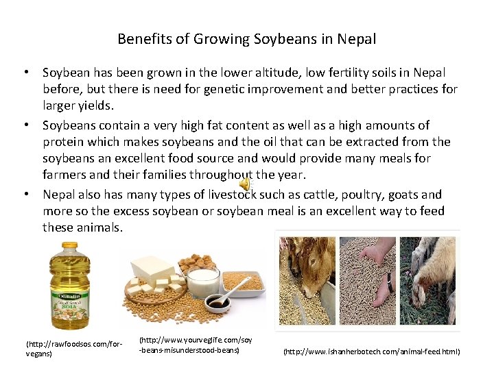 Benefits of Growing Soybeans in Nepal • Soybean has been grown in the lower