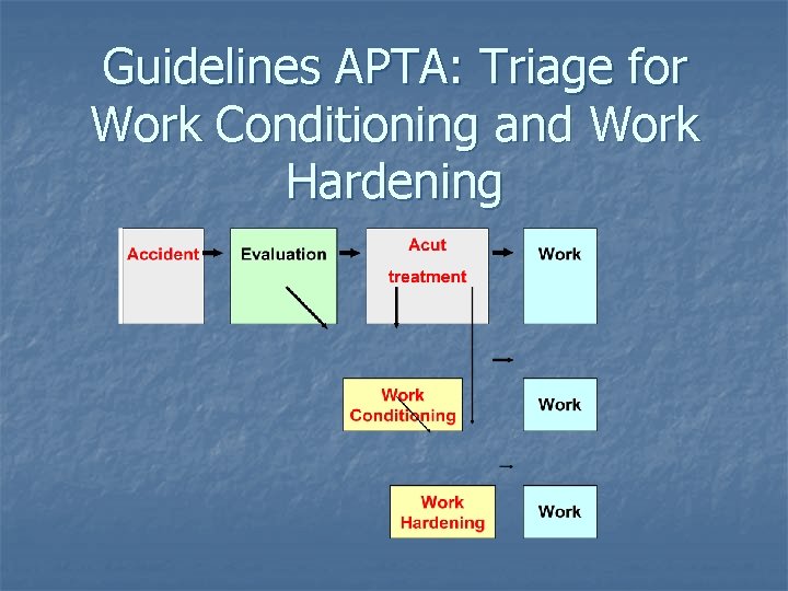 Guidelines APTA: Triage for Work Conditioning and Work Hardening 