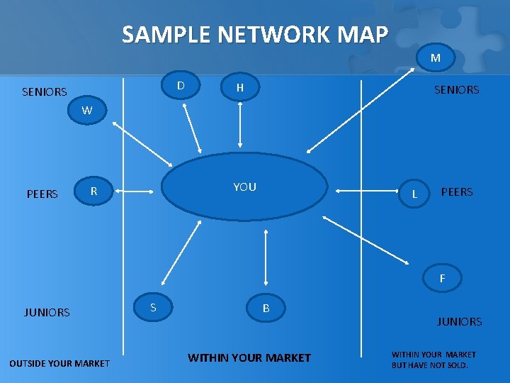 SAMPLE NETWORK MAP D SENIORS M H SENIORS W PEERS YOU R L PEERS