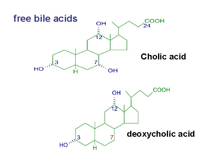 free bile acids Cholic acid deoxycholic acid 