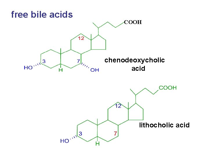 free bile acids COOH chenodeoxycholic acid lithocholic acid 