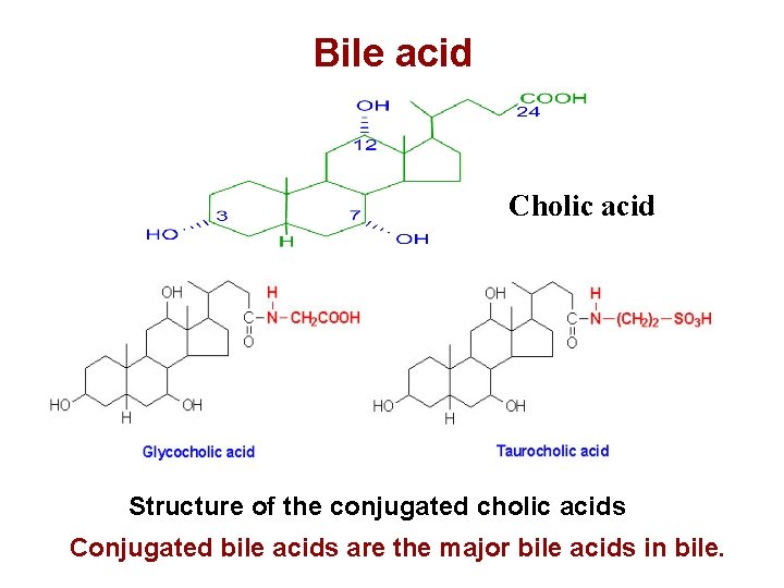 Bile acid Cholic acid Structure of the conjugated cholic acids Conjugated bile acids are