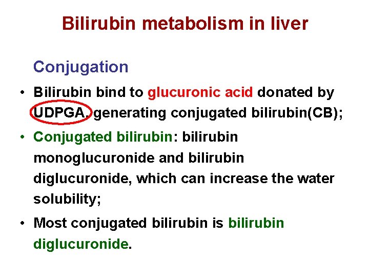 Bilirubin metabolism in liver Conjugation • Bilirubin bind to glucuronic acid donated by UDPGA,