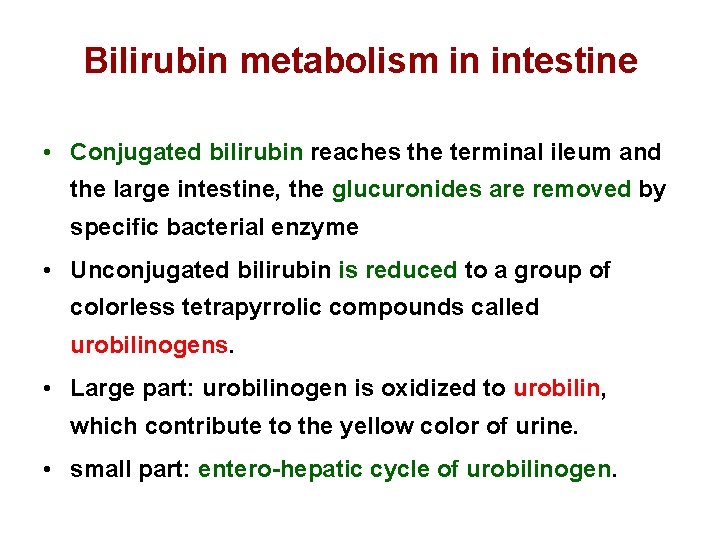 Bilirubin metabolism in intestine • Conjugated bilirubin reaches the terminal ileum and the large