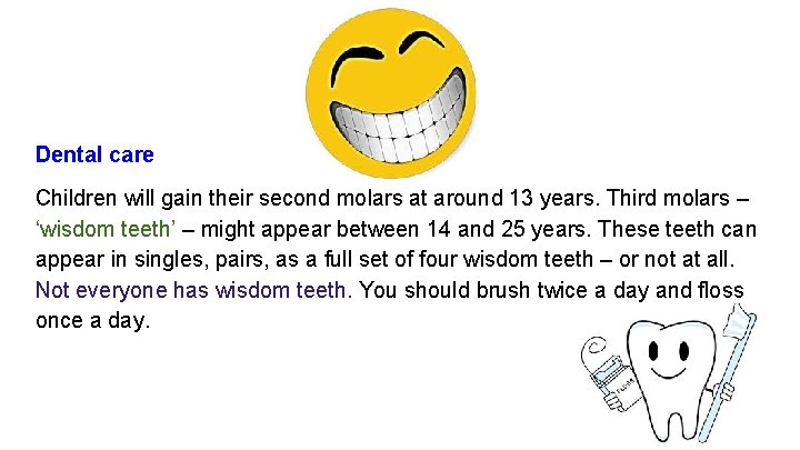 Dental care Children will gain their second molars at around 13 years. Third molars