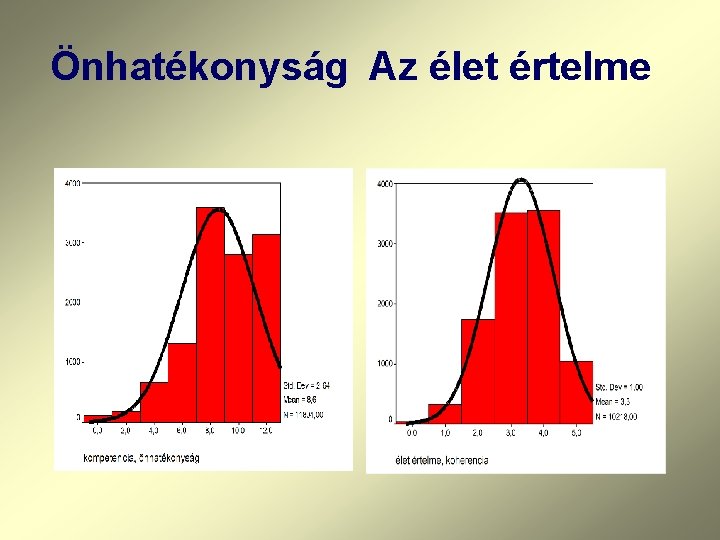 Önhatékonyság Az élet értelme 