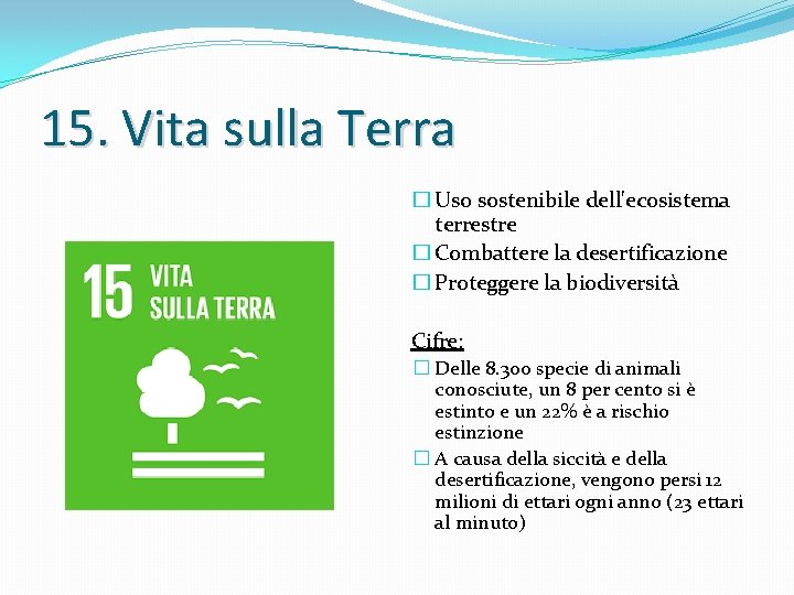 15. Vita sulla Terra � Uso sostenibile dell'ecosistema terrestre � Combattere la desertificazione �