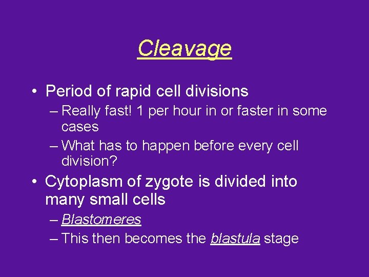 Cleavage • Period of rapid cell divisions – Really fast! 1 per hour in
