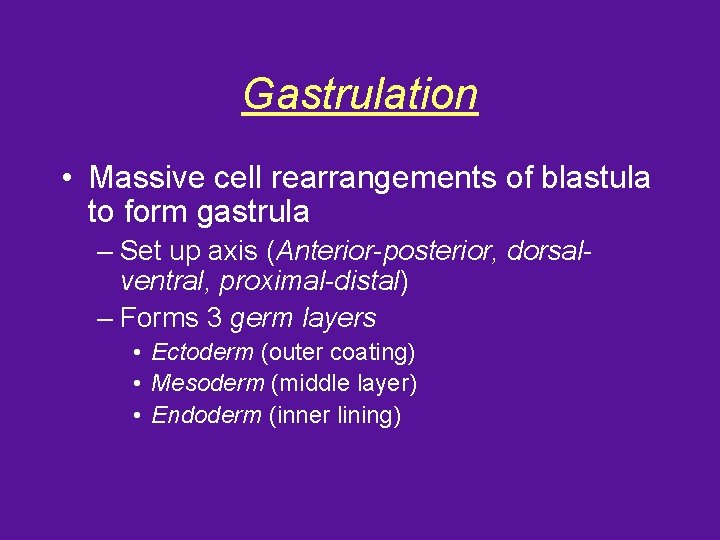 Gastrulation • Massive cell rearrangements of blastula to form gastrula – Set up axis