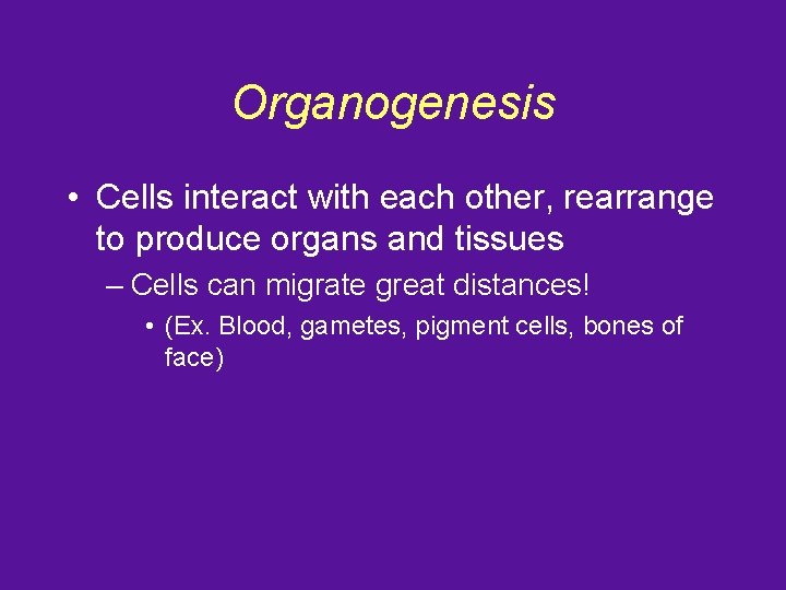Organogenesis • Cells interact with each other, rearrange to produce organs and tissues –