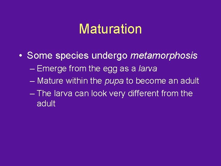 Maturation • Some species undergo metamorphosis – Emerge from the egg as a larva