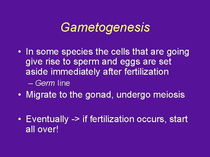 Gametogenesis • In some species the cells that are going give rise to sperm