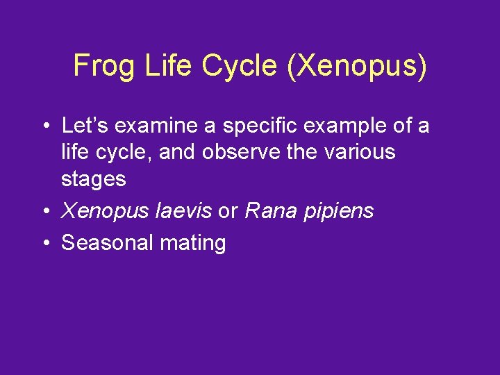 Frog Life Cycle (Xenopus) • Let’s examine a specific example of a life cycle,