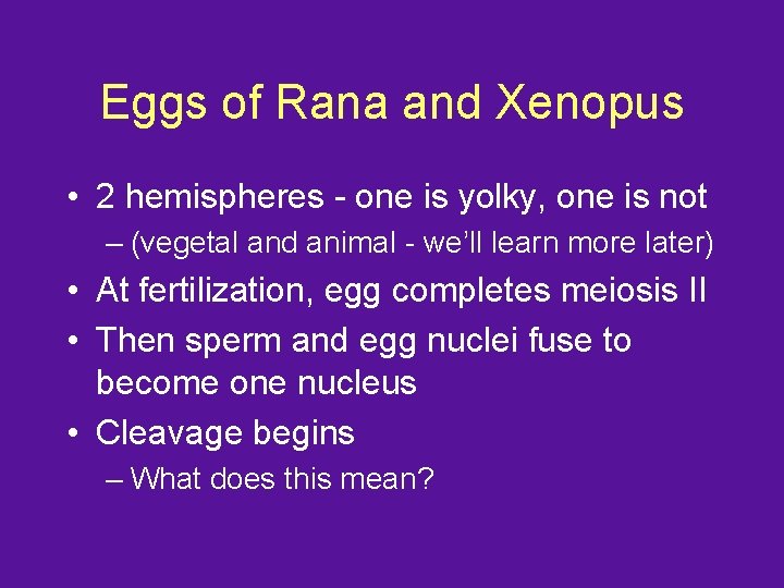 Eggs of Rana and Xenopus • 2 hemispheres - one is yolky, one is