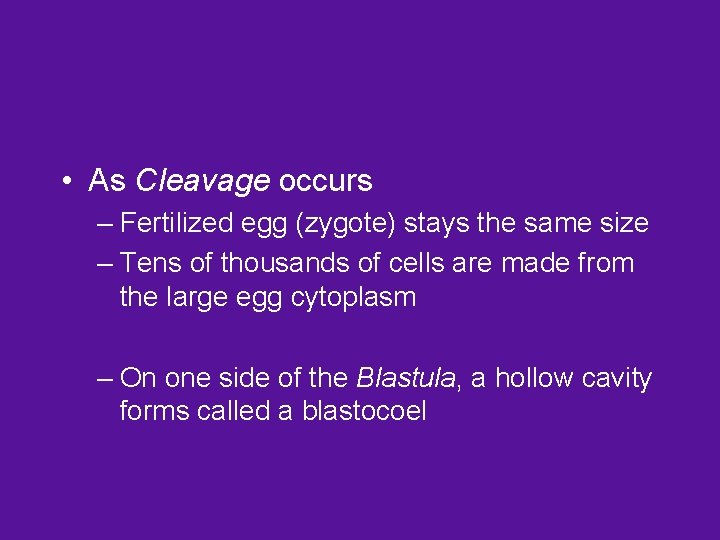  • As Cleavage occurs – Fertilized egg (zygote) stays the same size –