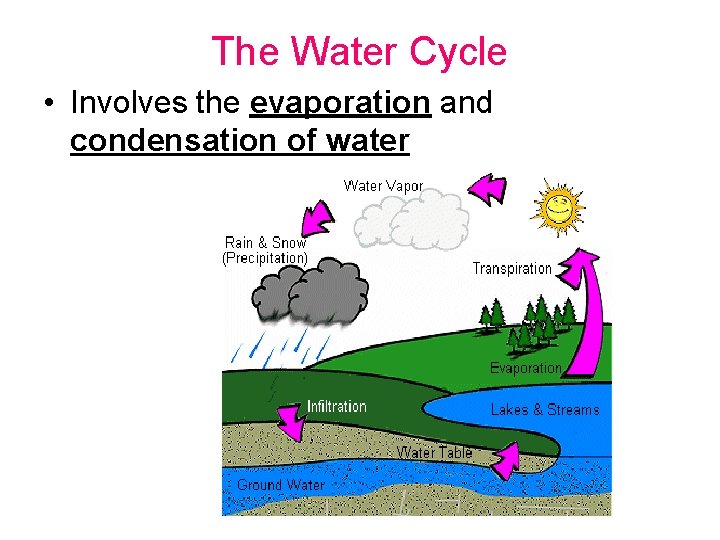 The Water Cycle • Involves the evaporation and condensation of water 