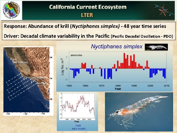Response: Abundance of krill (Nyctiphanes simplex) - 48 year time series Driver: Decadal climate