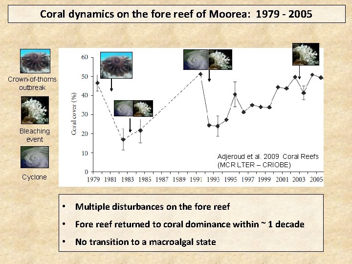Coral dynamics on the fore reef of Moorea: 1979 - 2005 Crown-of-thorns outbreak Bleaching