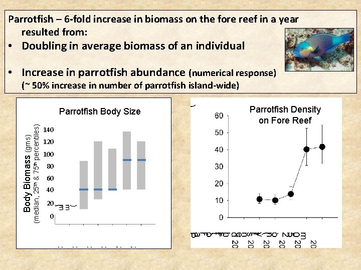 Parrotfish – 6 -fold increase in biomass on the fore reef in a year