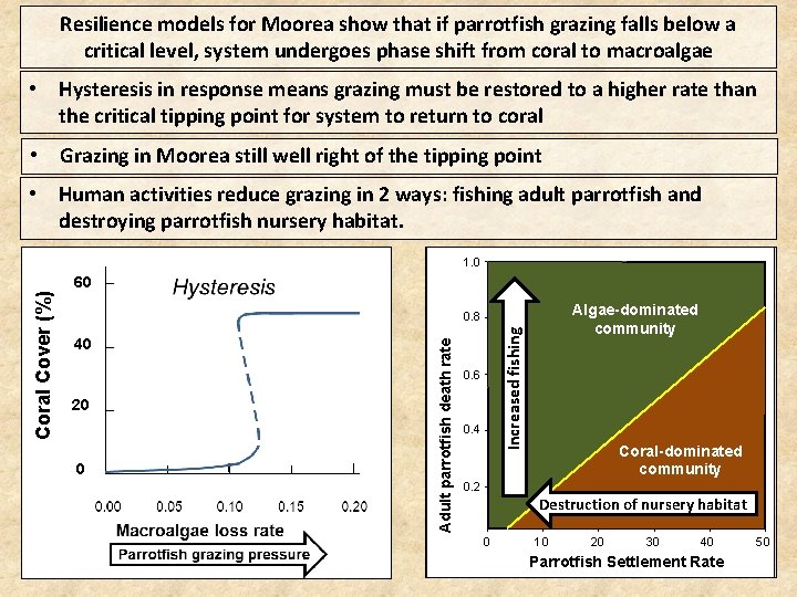 Resilience models for Moorea show that if parrotfish grazing falls below a critical level,