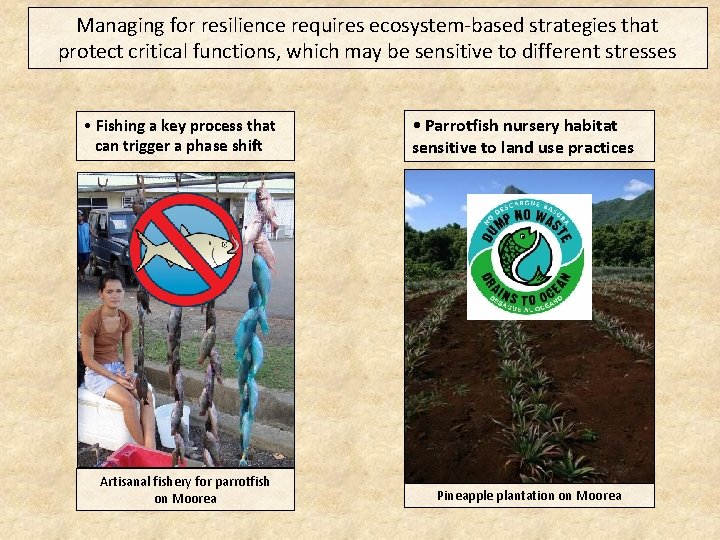Managing for resilience requires ecosystem-based strategies that protect critical functions, which may be sensitive