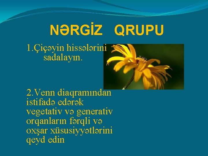 NƏRGİZ QRUPU 1. Çiçəyin hissələrini sadalayın. 2. Venn diaqramından istifadə edərək vegetativ və generativ