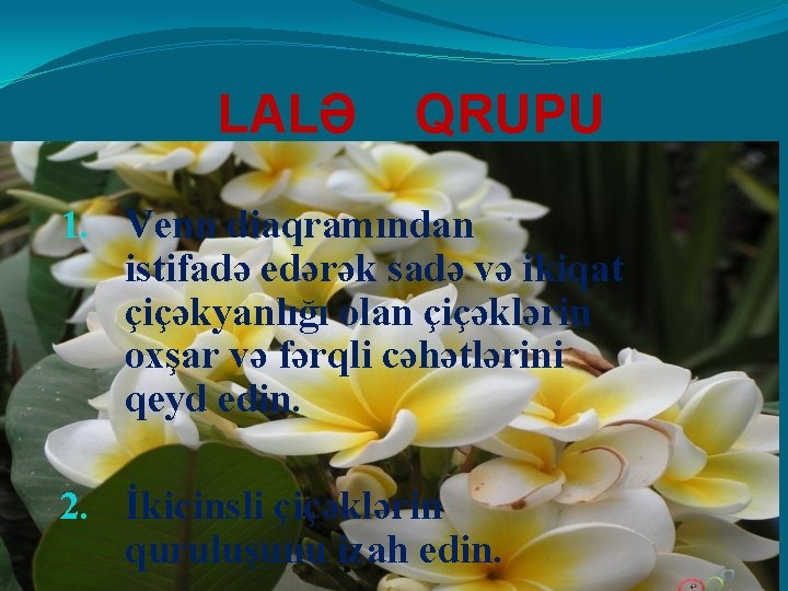 LALƏ QRUPU 1. Venn diaqramından istifadə edərək sadə və ikiqat çiçəkyanlığı olan çiçəklərin oxşar