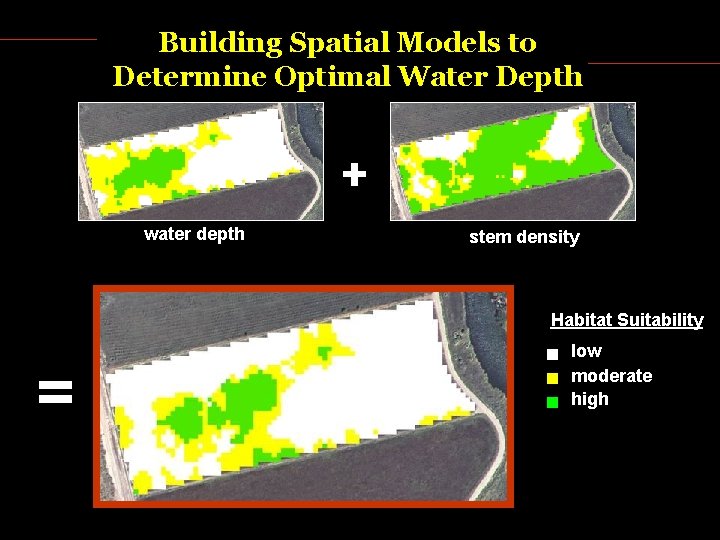 Building Spatial Models to Determine Optimal Water Depth water depth stem density Habitat Suitability