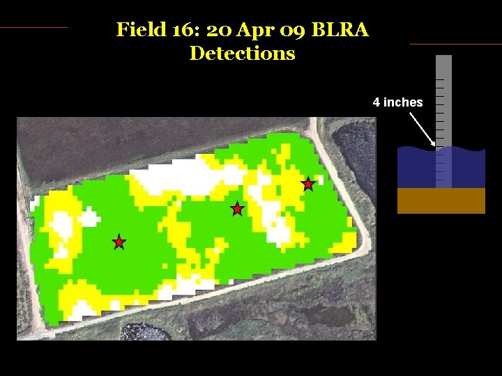 Field 16: 20 Apr 09 BLRA Detections 4 inches 