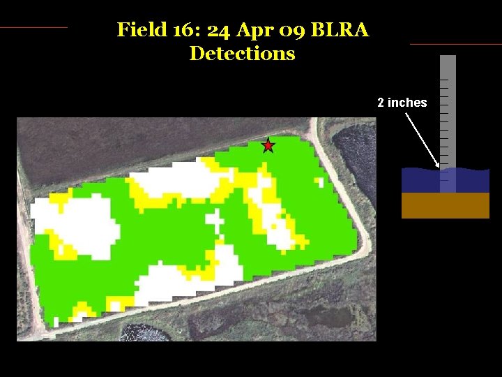 Field 16: 24 Apr 09 BLRA Detections 2 inches 