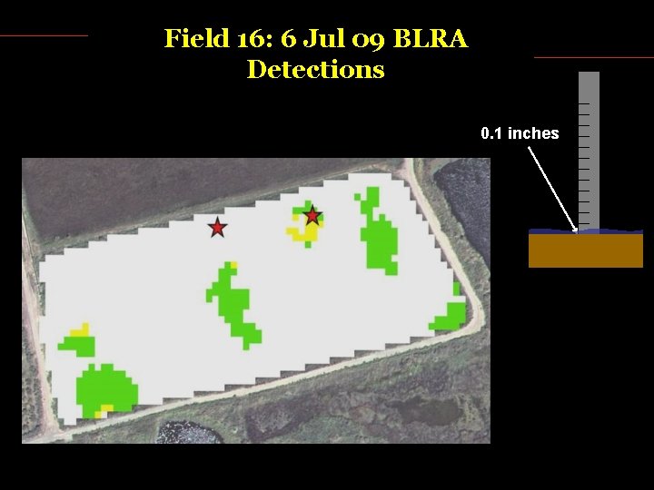 Field 16: 6 Jul 09 BLRA Detections 0. 1 inches 